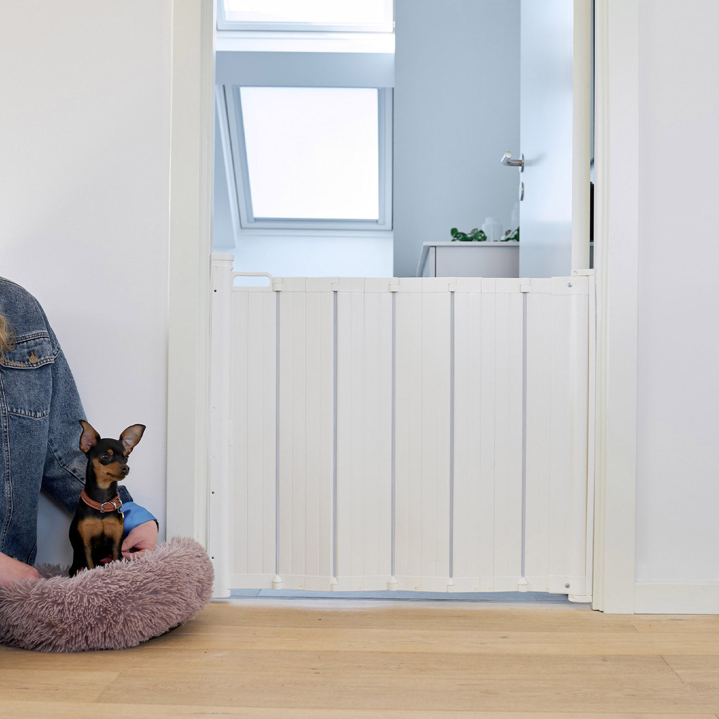 Short Dog Gate H Mesh Extends Up To 59