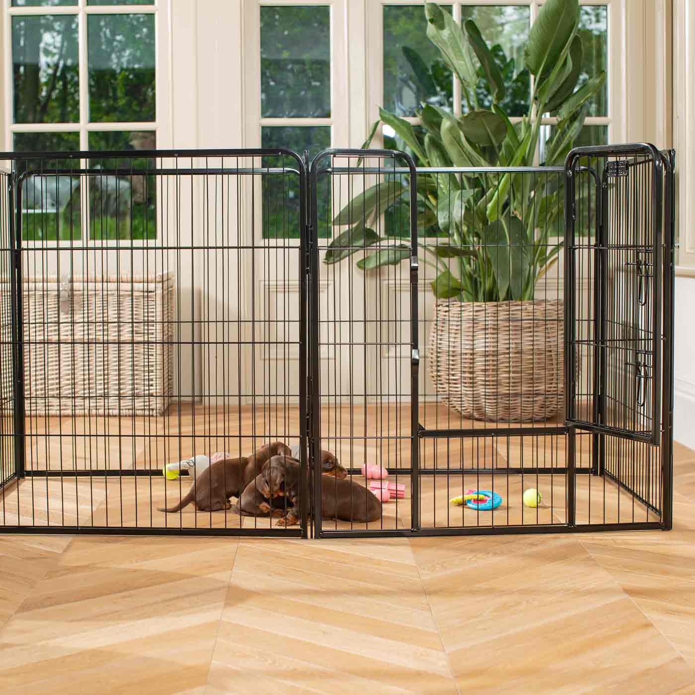 Ensure The Ultimate Puppy Safety with Our Heavy Duty 80cm High Black Metal Play Pen, Crafted to Take Your Pet Right Through Maturity! Powder Coated to Be Extra Hardwearing! 6 panels that are 80cm high and attachments to connect to any crate. The modular system allows you to change the puppy pen shape with multiple layouts! Available To Now at Lords & Labradors