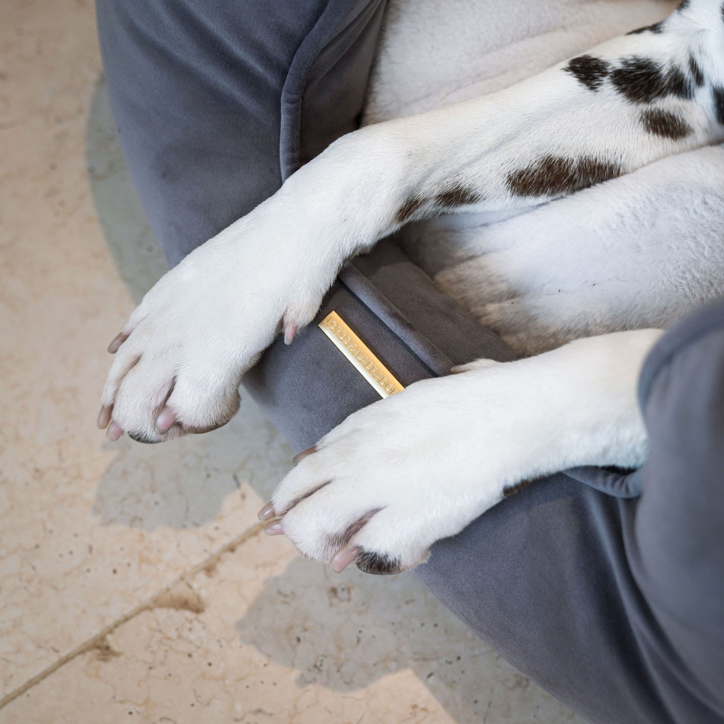 High Wall Bed in Silt Velvet by Lords & Labradors