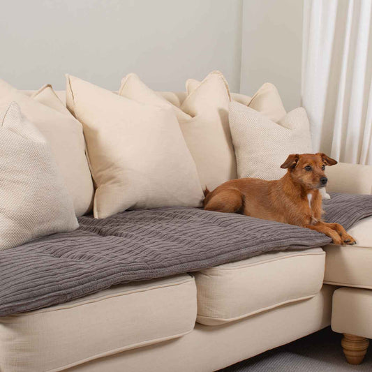 Discover Our Luxury Essentials Plush Sofa Topper, The Perfect Pet Sofa Accessory In Stunning Dark Grey Plush! Available Now at Lords & Labradors    