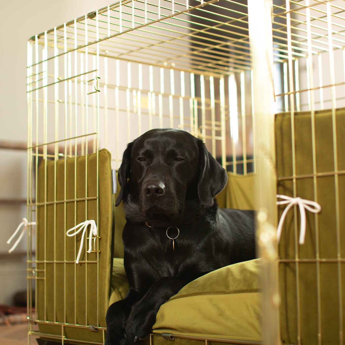 Dog Crate Bumper in Olive Velvet by Lords & Labradors