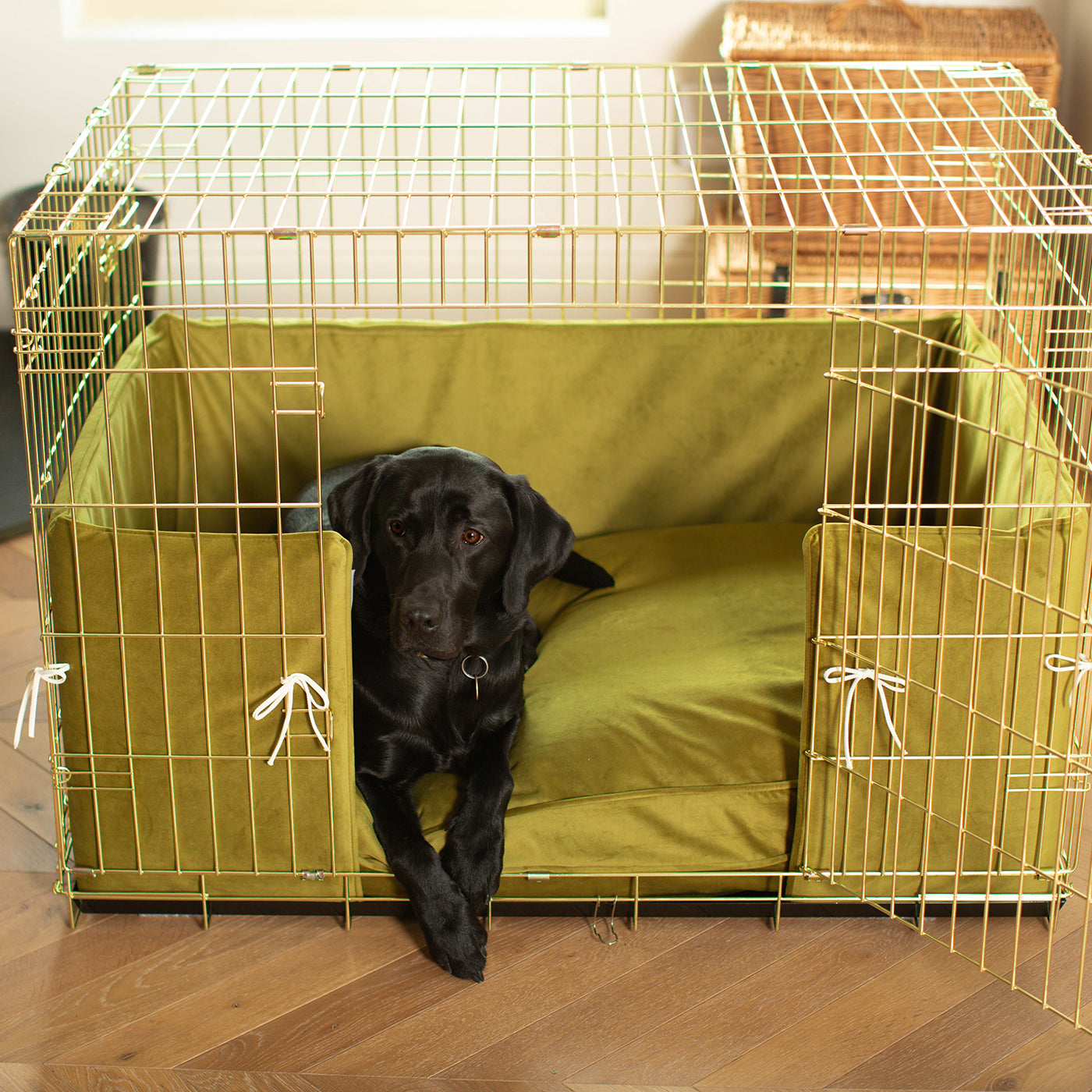 Dog Crate with Cushion & Bumper in Olive Velvet by Lords & Labradors