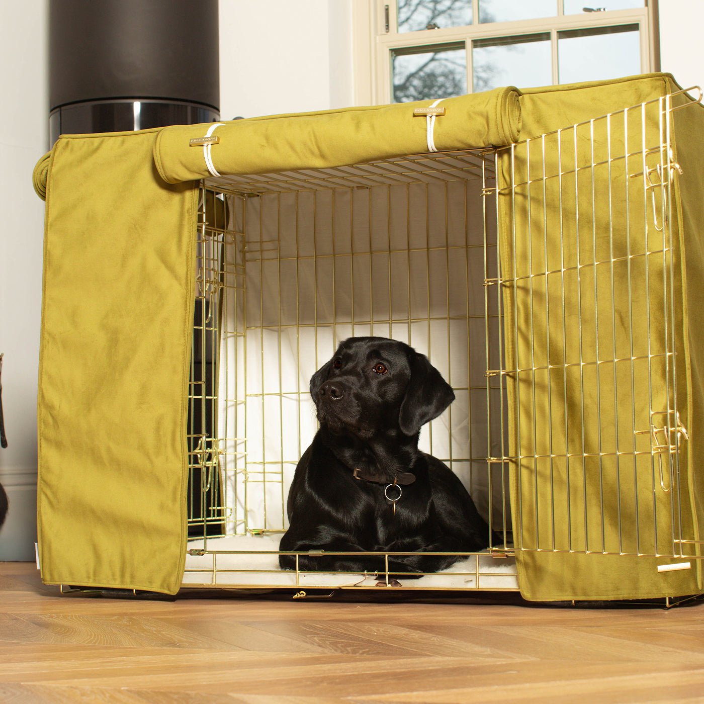 Dog Crate Cover In Olive Velvet by Lords & Labradors
