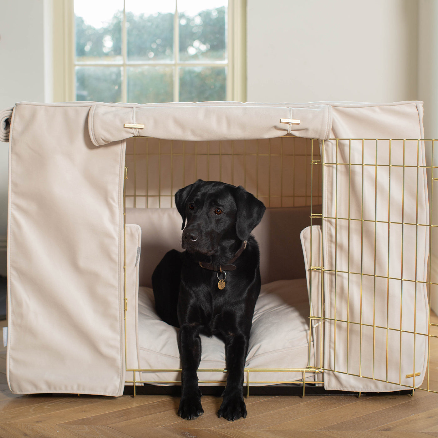 Dog Crate Set In Oyster Velvet by Lords & Labradors