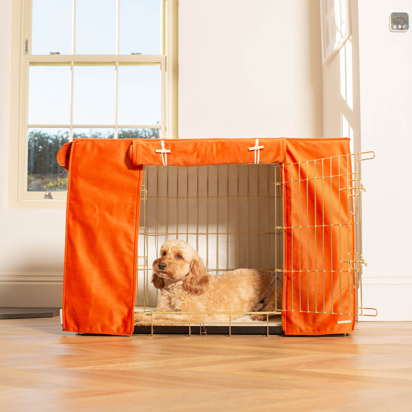 Dog Crate with Crate Cover in Pumpkin Velvet by Lords & Labradors