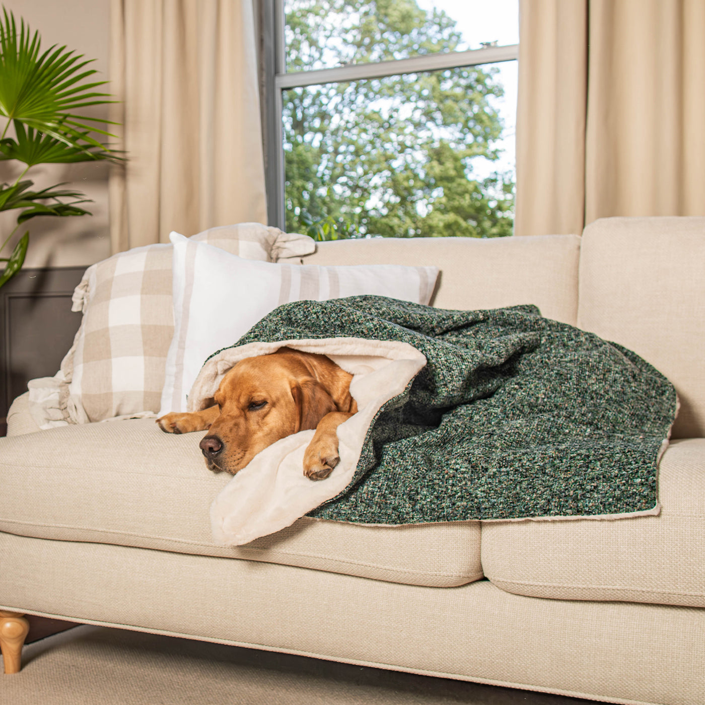 Dog & Puppy Blanket in Emerald Minerals by Lords & Labradors