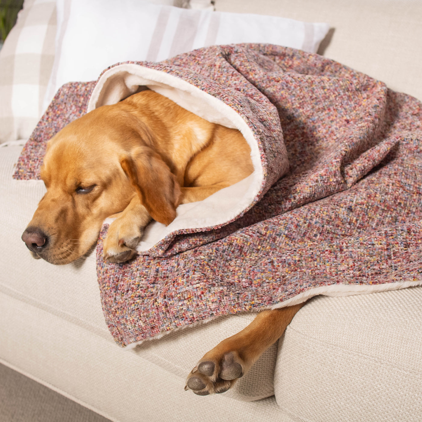 Dog & Puppy Blanket in Rose Quartz Minerals by Lords & Labradors