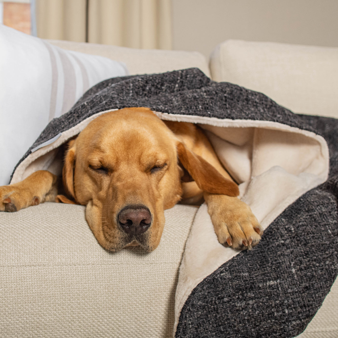 Dog & Puppy Blanket in Obsidian Minerals by Lords & Labradors