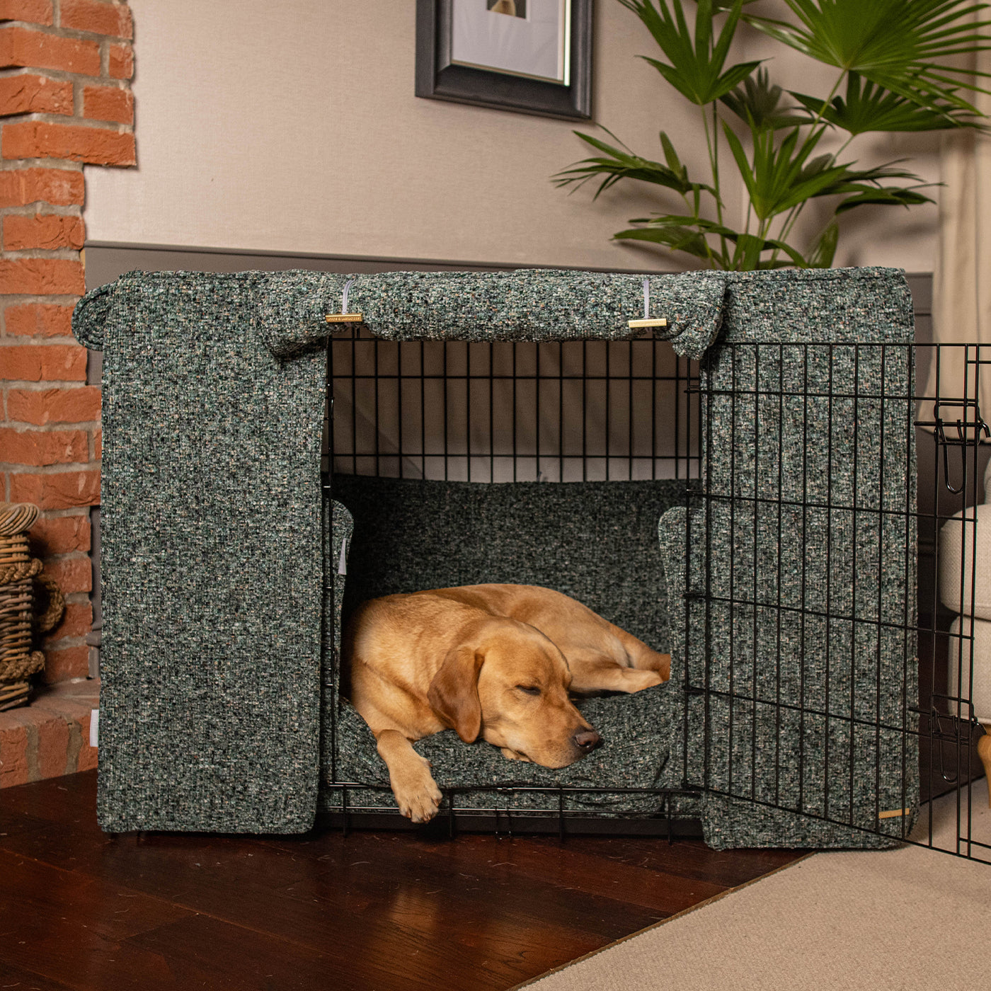 Illustration of The Complete Dog Crate Guide