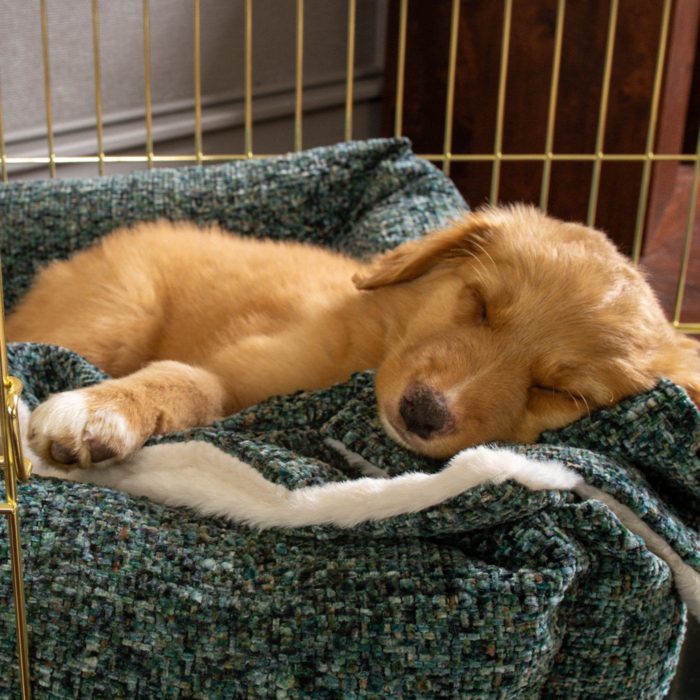 Puppy Scent Blanket in Emerald Minerals by Lords & Labradors