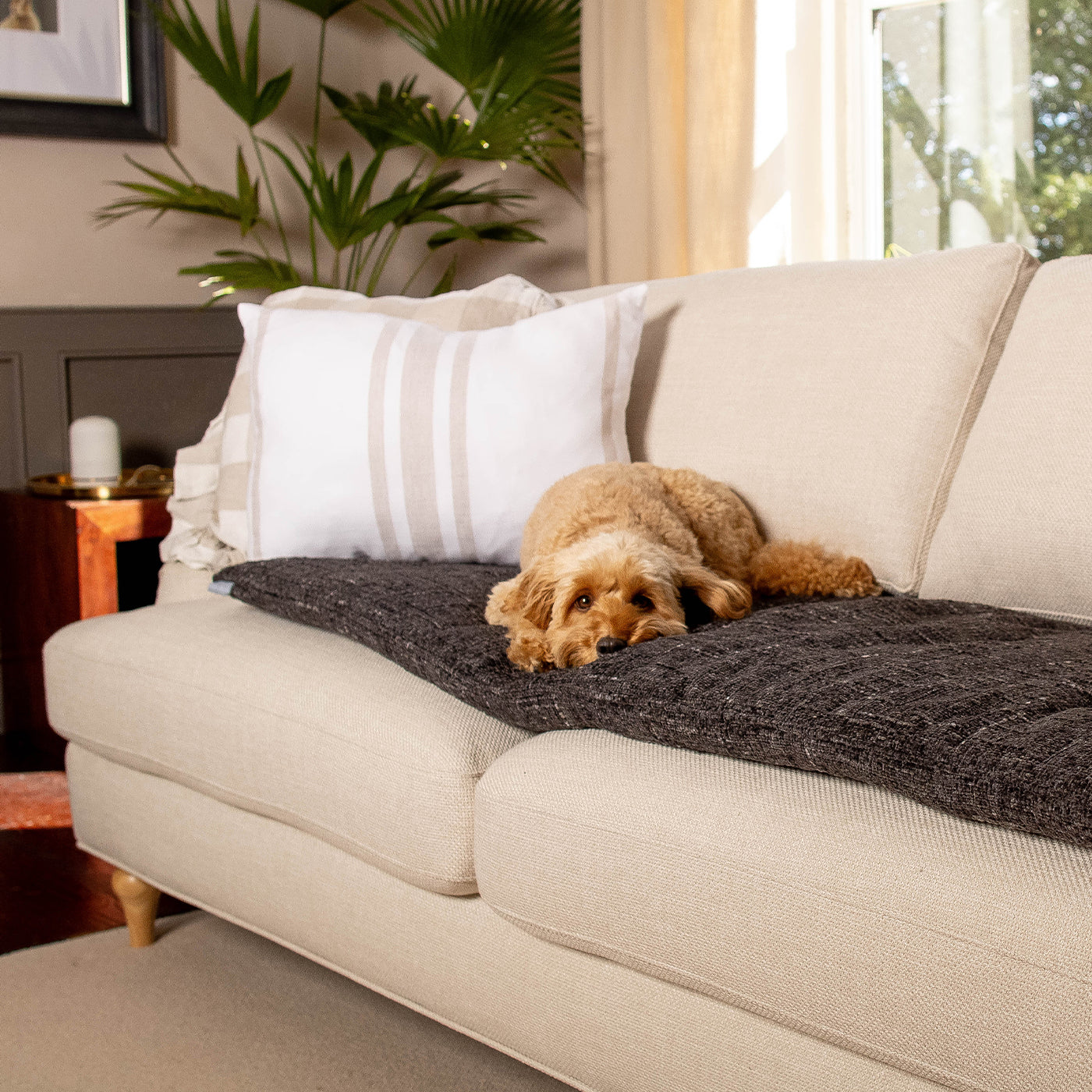 Sofa Topper in Obsidian Minerals by Lords & Labradors