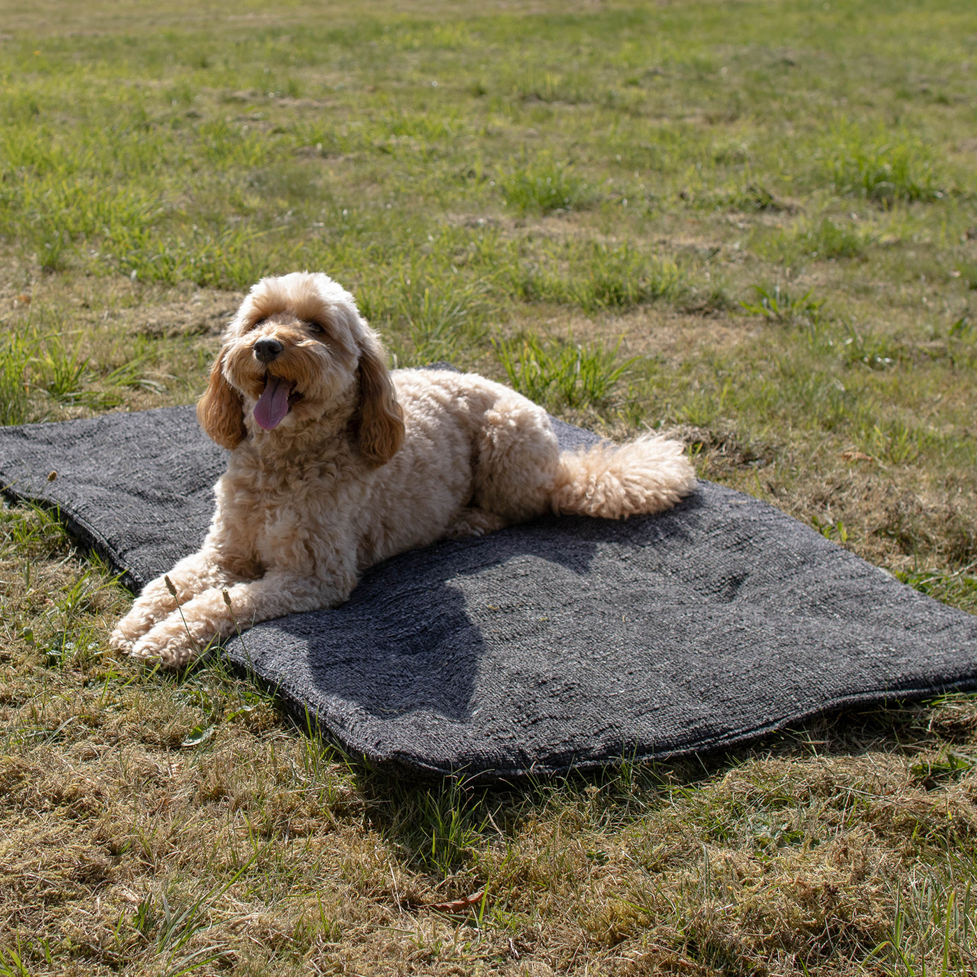 Travel Mat In Obsidian Minerals by Lords & Labradors