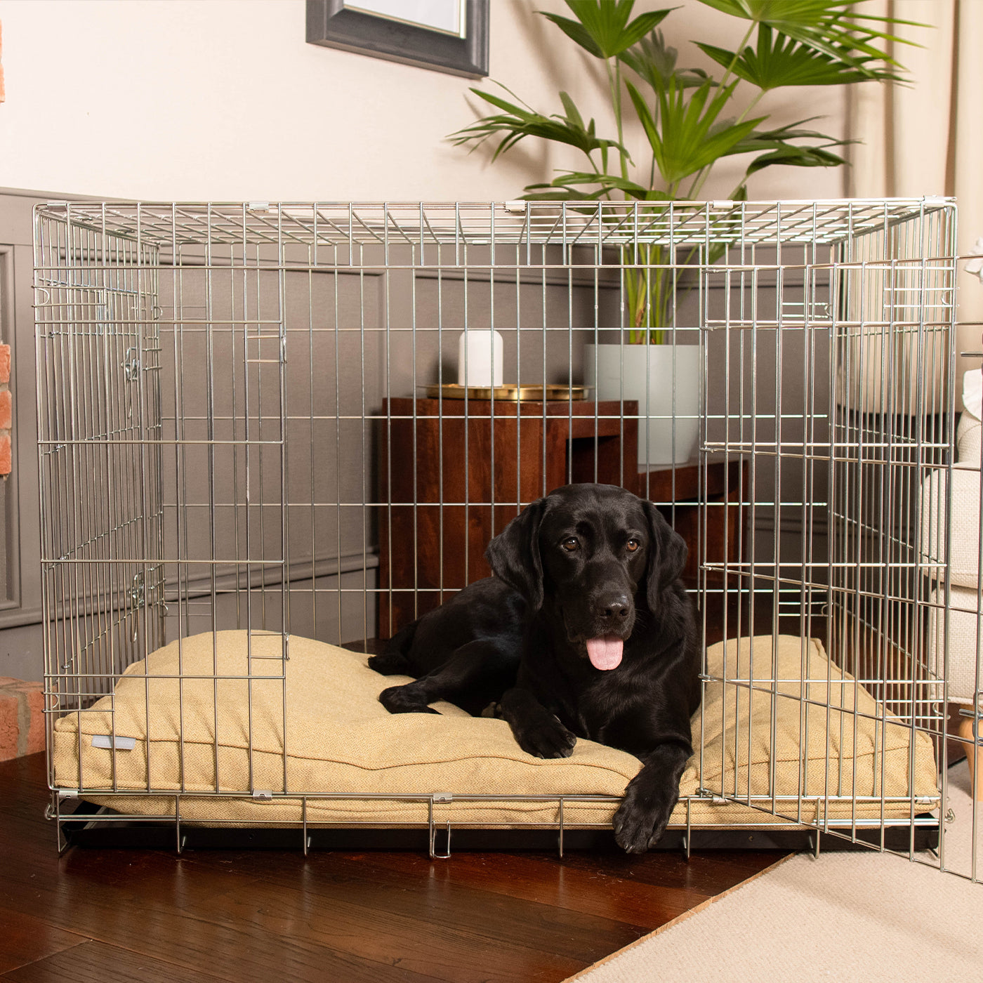 Dog Cushion in Honeysuckle Orkney Tweed by Lords & Labradors