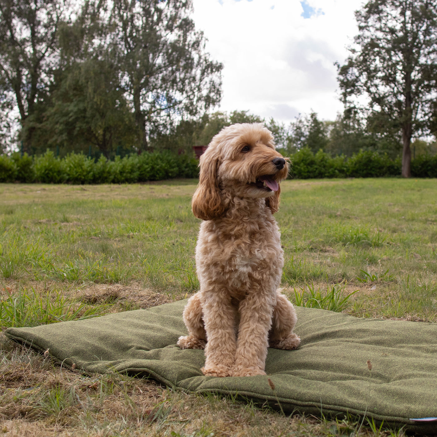Travel Mat In Moss Orkney Tweed by Lords & Labradors