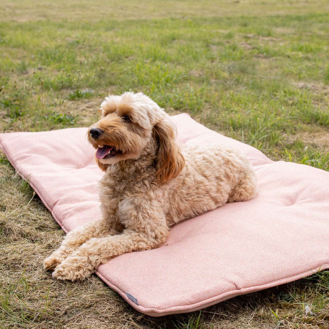Travel Mat In Peony Orkney Tweed by Lords & Labradors