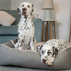 Box Bed For Dogs in Savanna Stone by Lords & Labradors