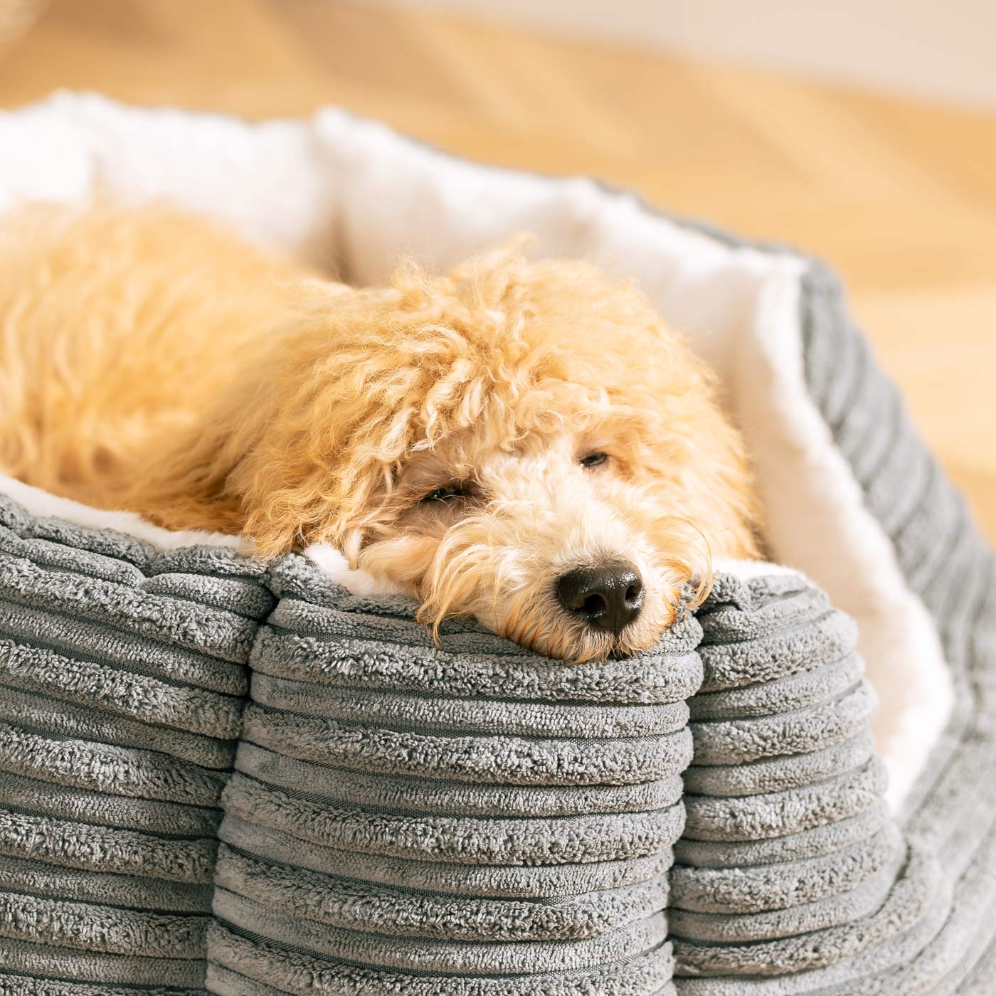 Discover Our Luxurious High Wall Bed For Dogs, Featuring inner pillow with plush teddy fleece on one side To Craft The Perfect Cat Bed In Stunning Essentials Dark Grey Plush! Available To Personalise Now at Lords & Labradors