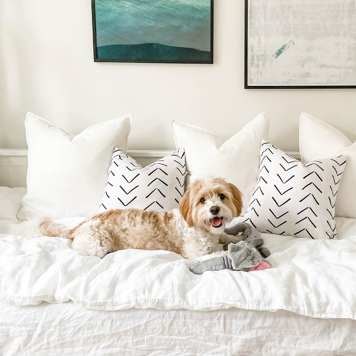 Mad About Pets Wild Crinkler Elephant