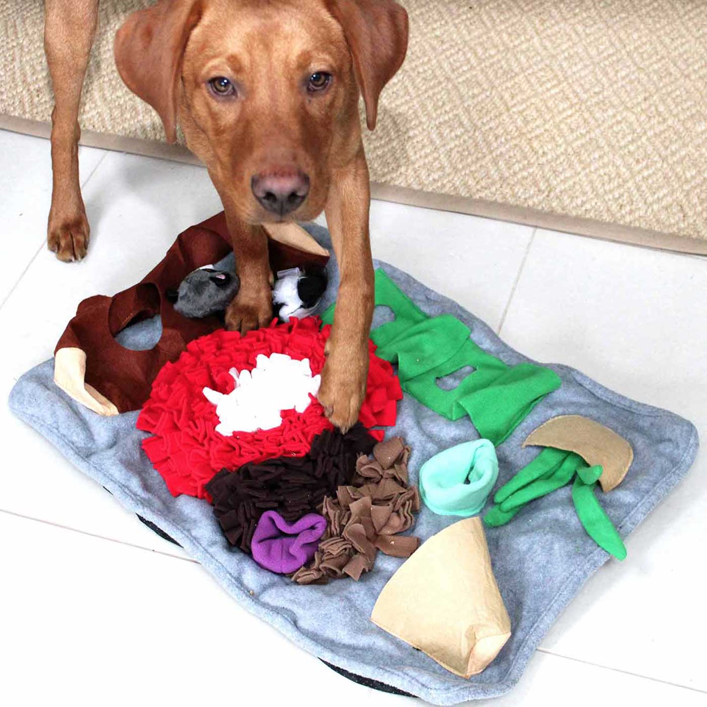 All For Paws Dig It Fluffy Mat | All For Paws Puppy Toy | Lords & Labradors