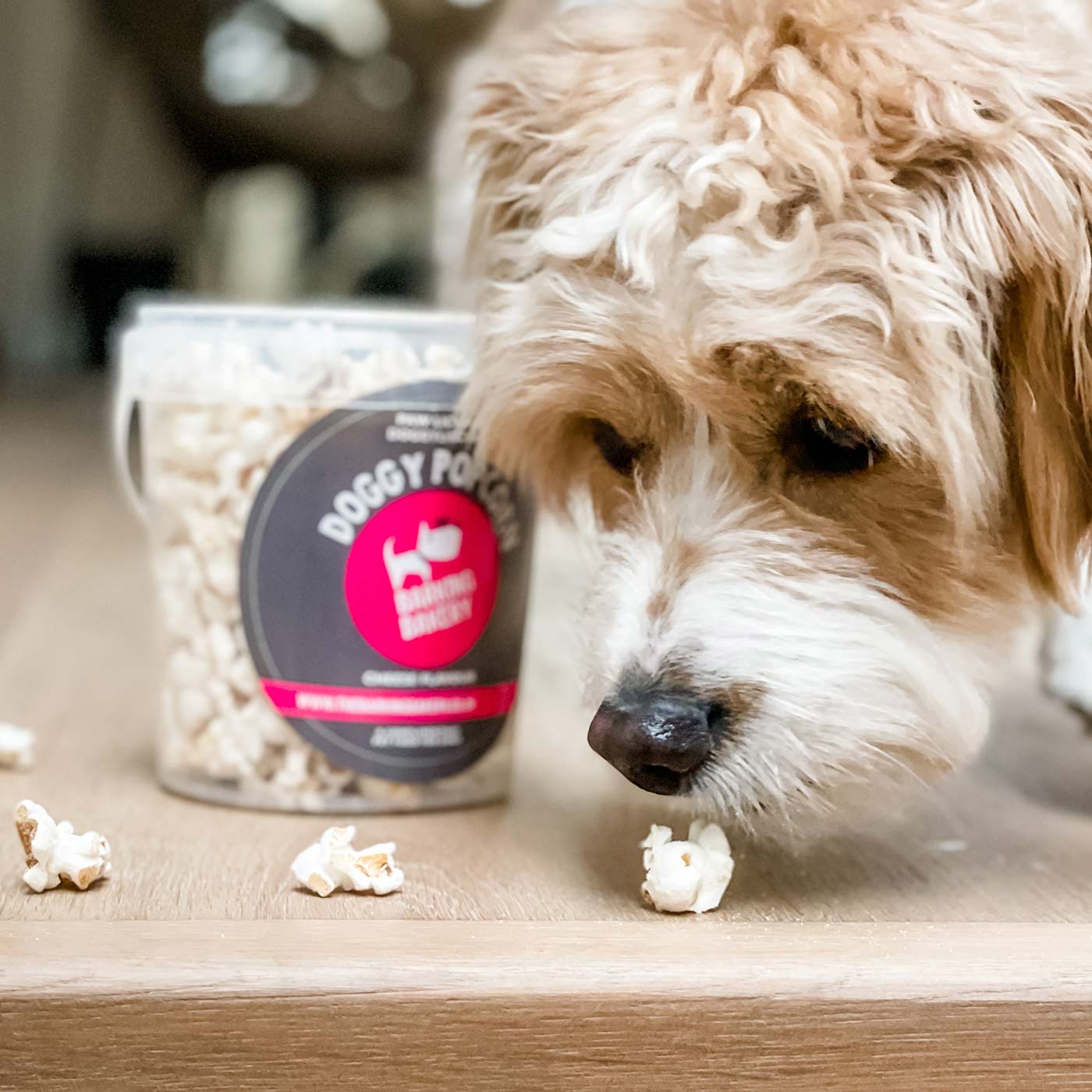 Barking Bakery Cheesey Pupcorn Tub