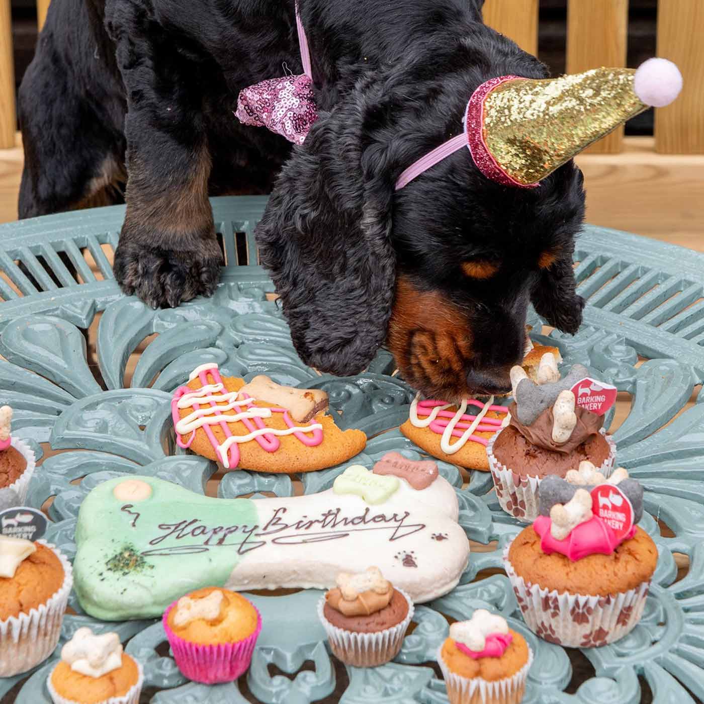 Barking Bakery Vanilla and Carob Cookie