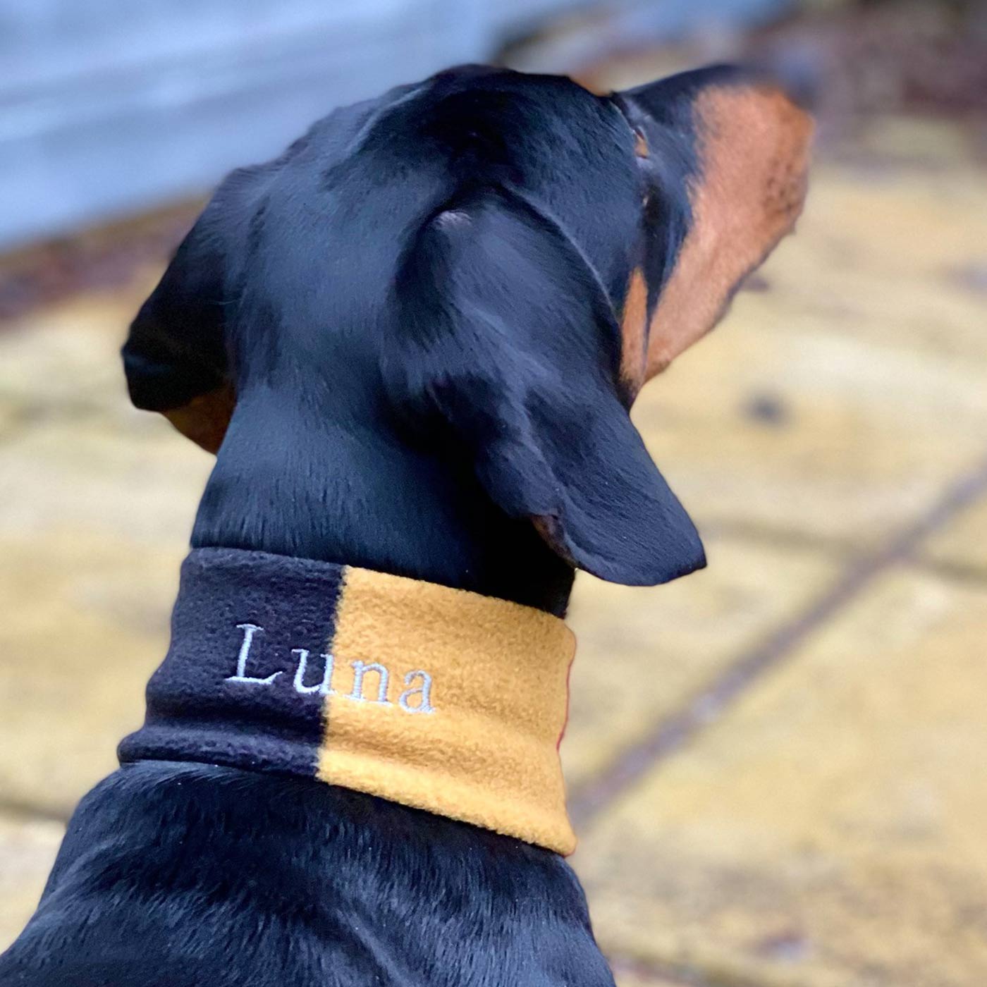 Accessorise Your Pet, With Our Stunning Snood For Dachshunds! Comes In One Size, And Totally Machine Washable, Available To Personalise Now at Lords & Labradors