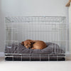 Dog Cushion in Dark Grey Essentials Plush by Lords & Labradors