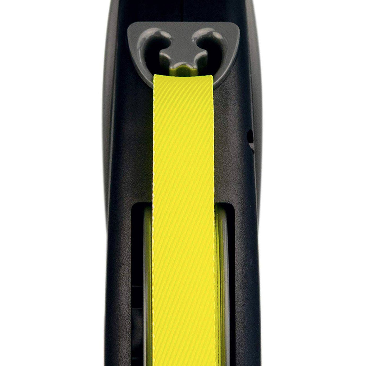 Flexi Lead - Giant 8m Tape