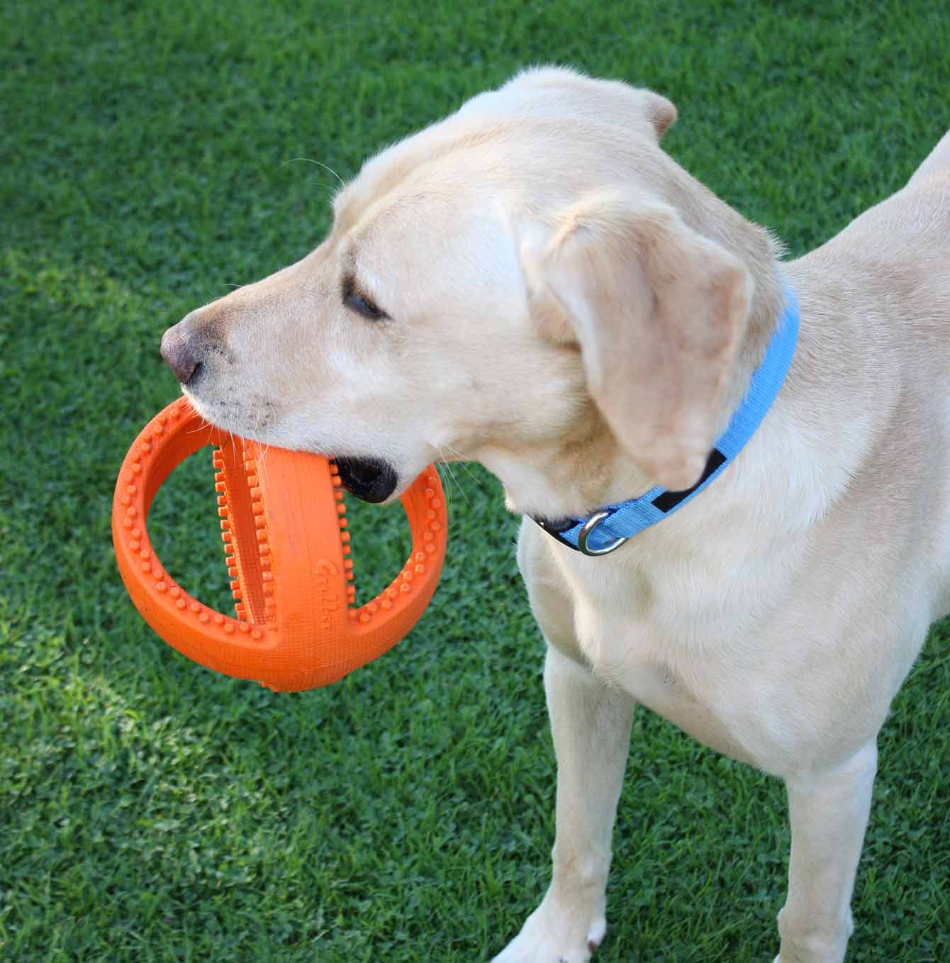 Grubber interactive football lifestyle