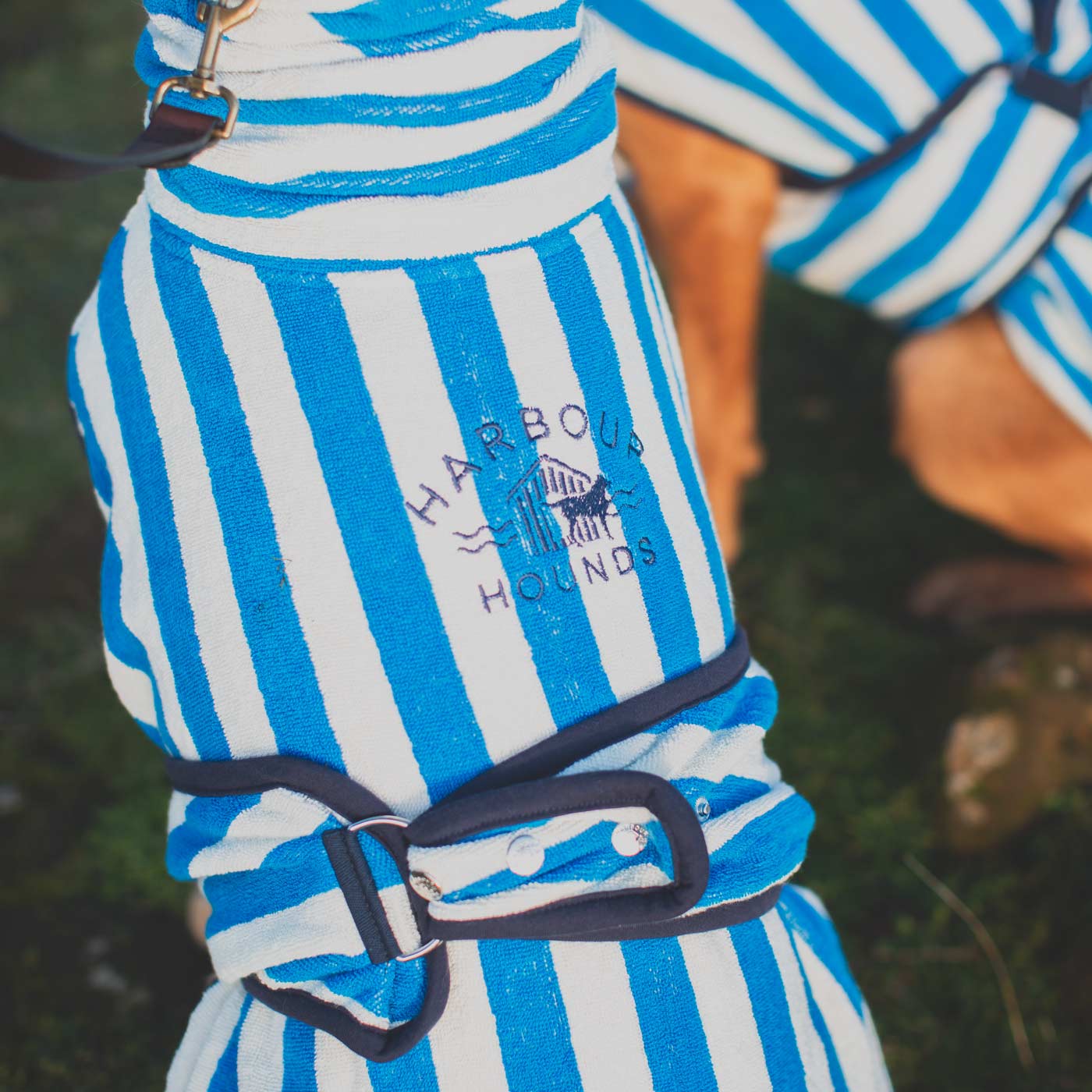 Harbour Hounds sea blue drying coat rear logo