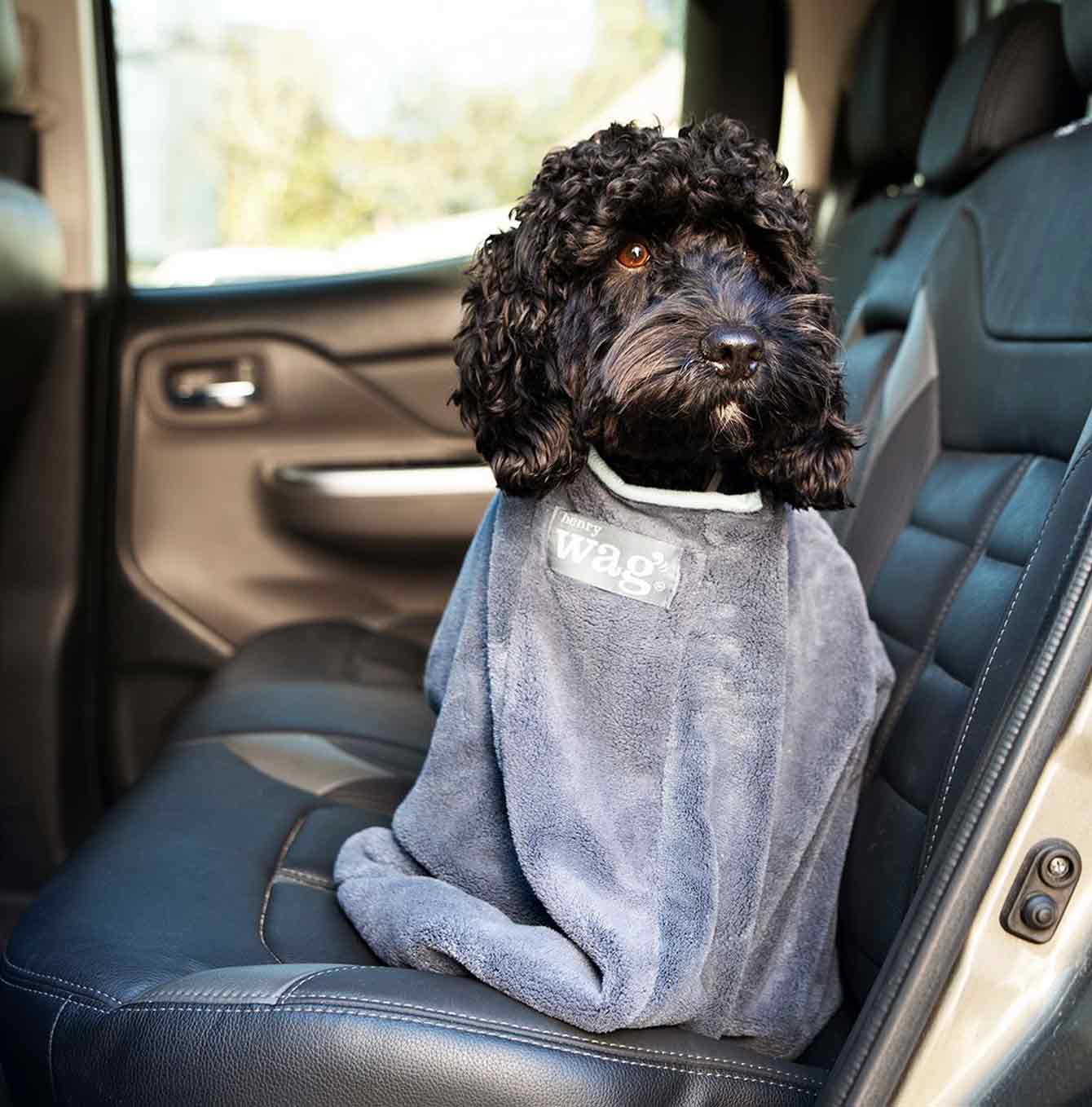 Henry Wag Drying Bag Lifestyle Car