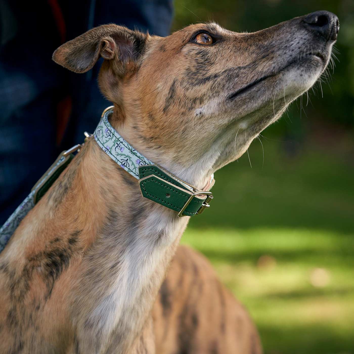 Set & accessorise your pooch ready for a stylish dog walk with Hiro + Wolf X L&L Dog Collar, the perfect dog walking accessory! Made using strong webbing lining to provide extra strength! Available in 3 stylish designs and 5 sizes at Lords & Labradors