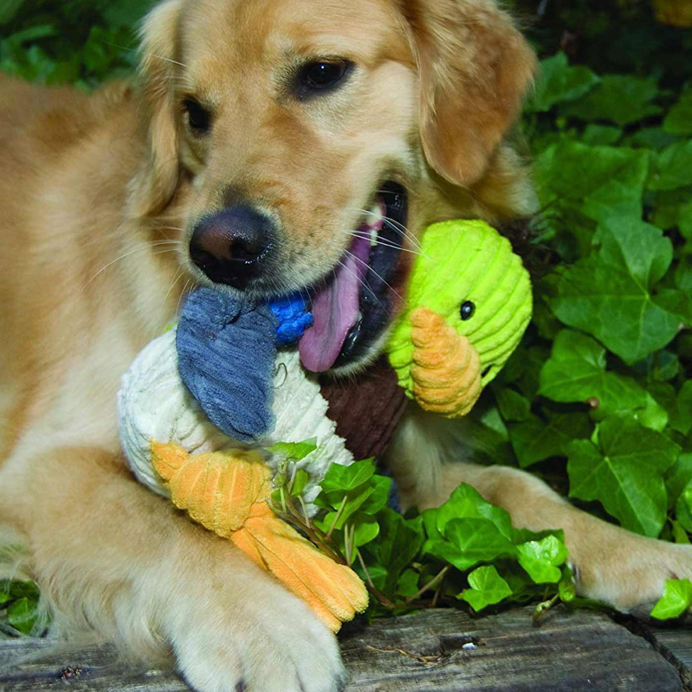 HuggleHounds Woodland Knottie Duck