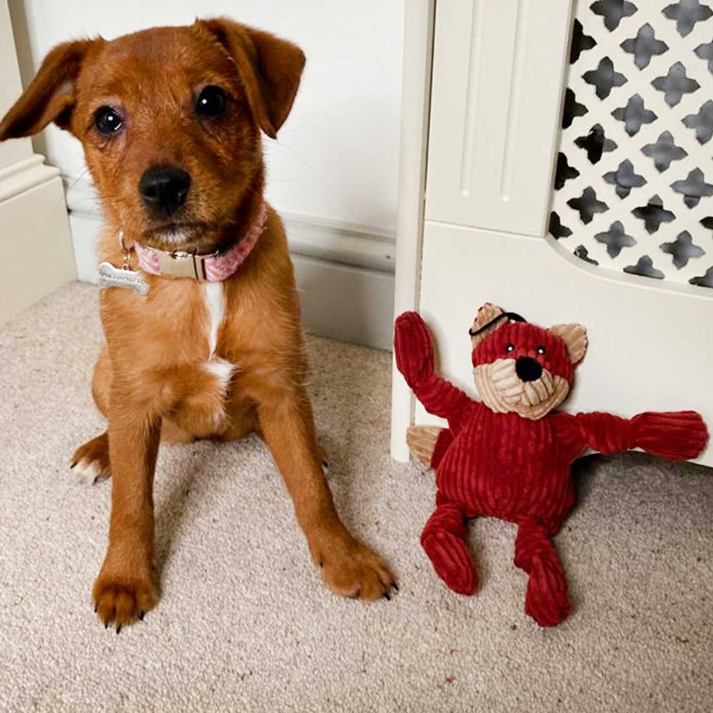 HuggleHounds Woodland Knottie Fox