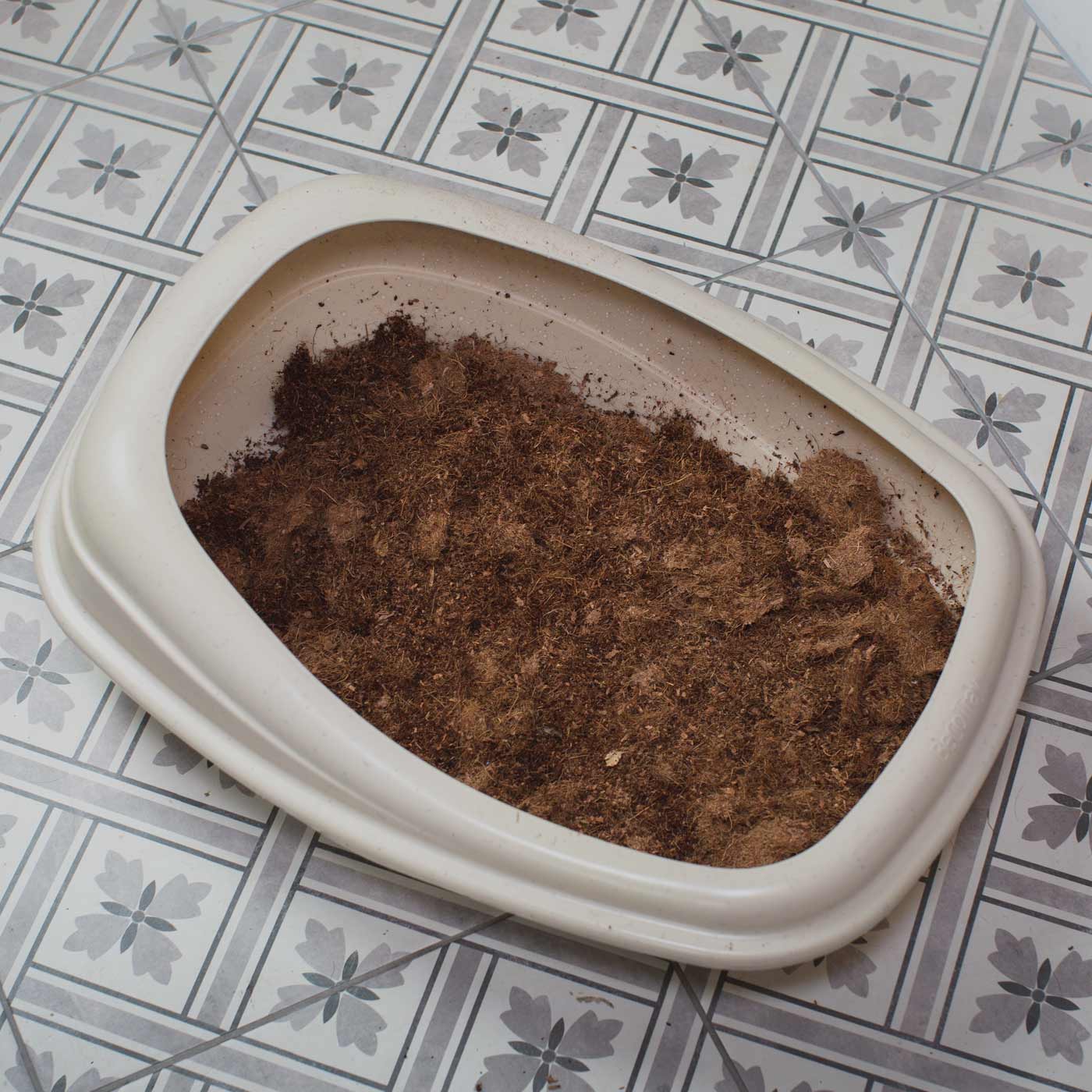 Huskaloo 28 day cat coconut litter clump