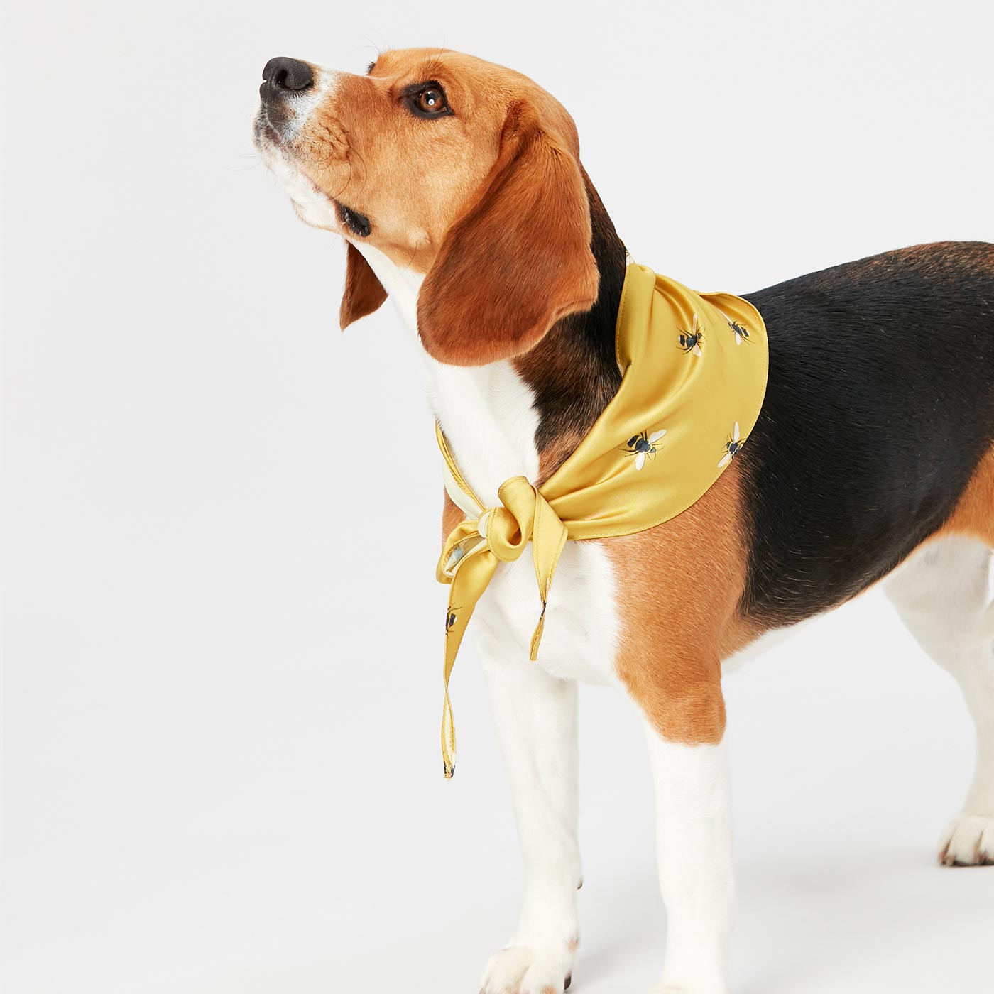 Joules Bee Print Neckerchief