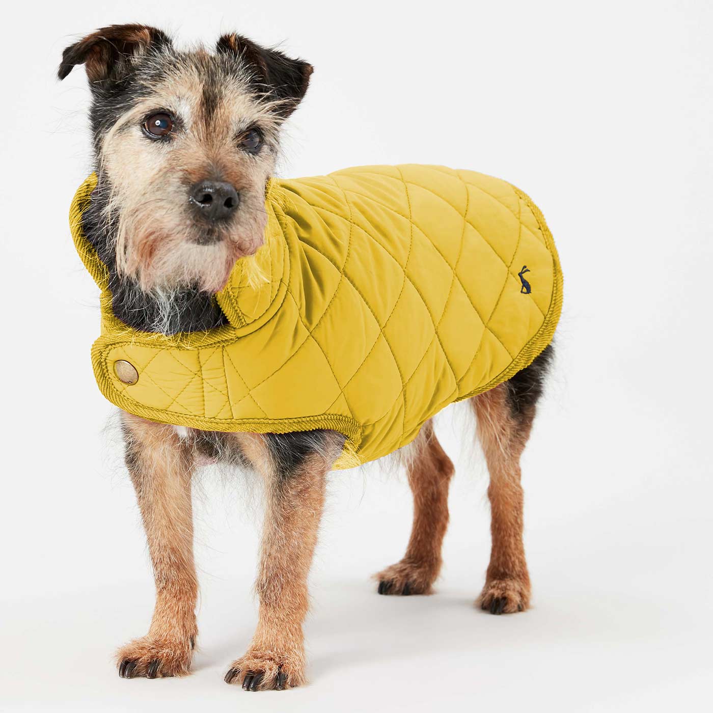 Quilted Dog Coat | Joules Pet Clothing | Lords & Labradors