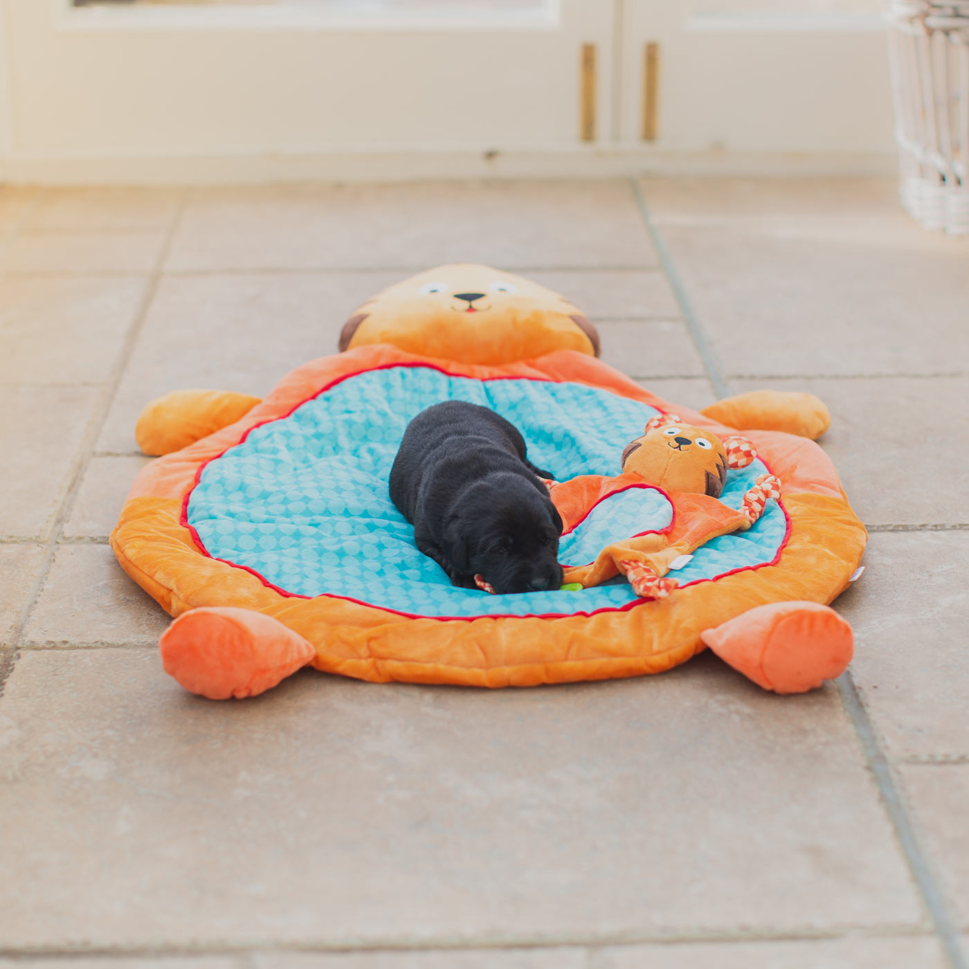 Little Rascals cheeky tiger playmat low