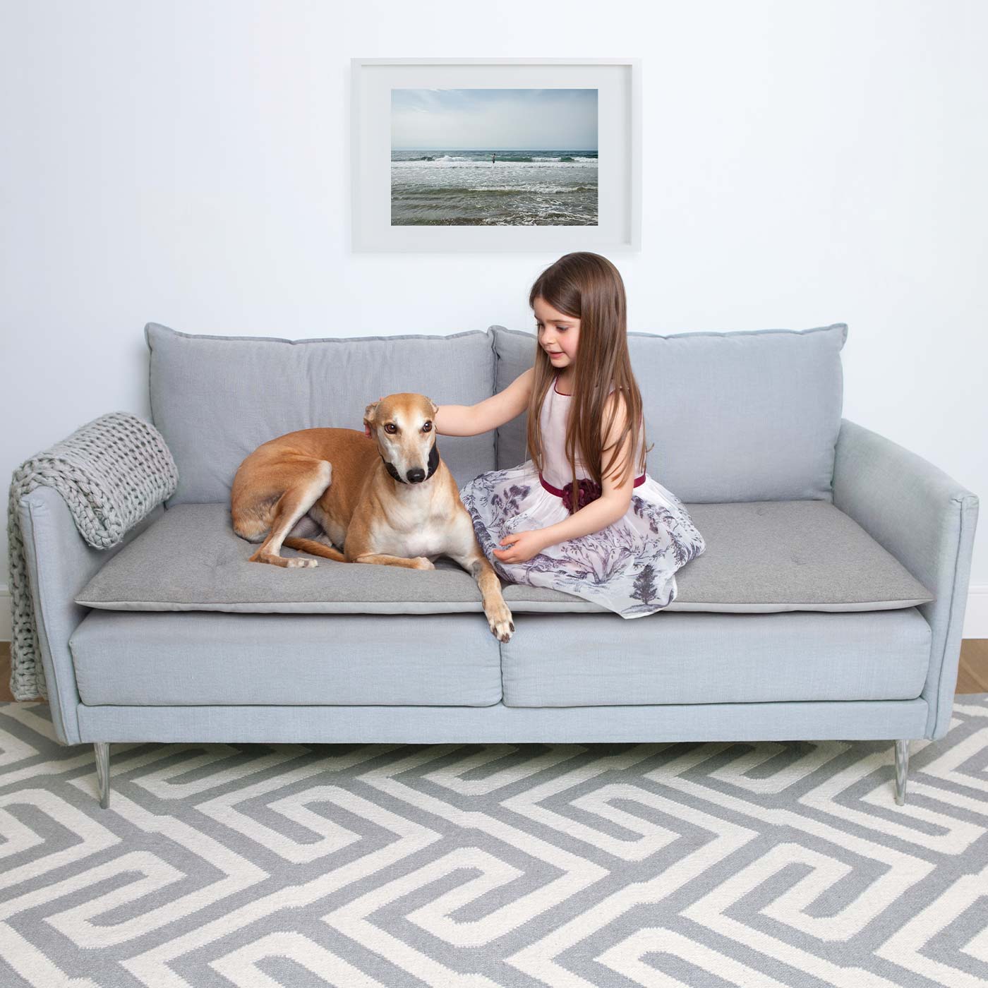 The Lounging Hound Wool Sofa Topper - Main Image
