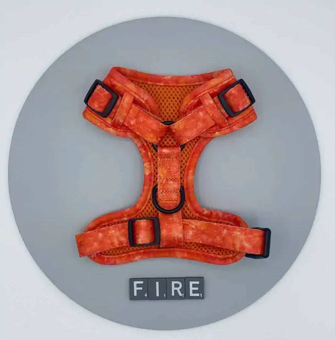 Love Nala Fire Harness Studio Scrabble Back