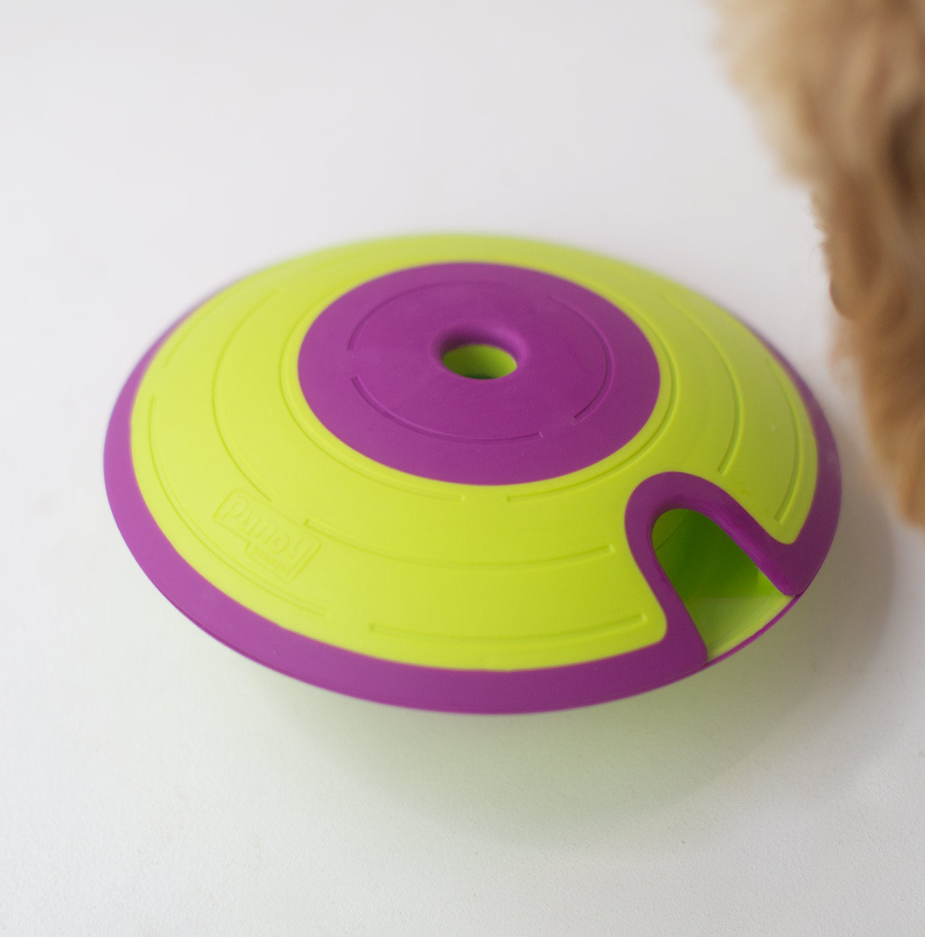 Dog Treat Maze | Nina Ottoson Interactive Toys | Lords and Labradors
