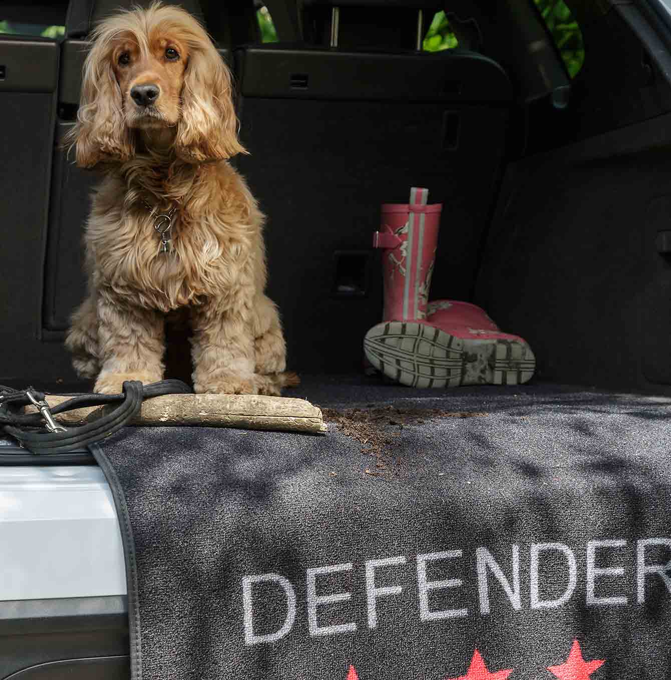 Pet Rebellion car defender with dog