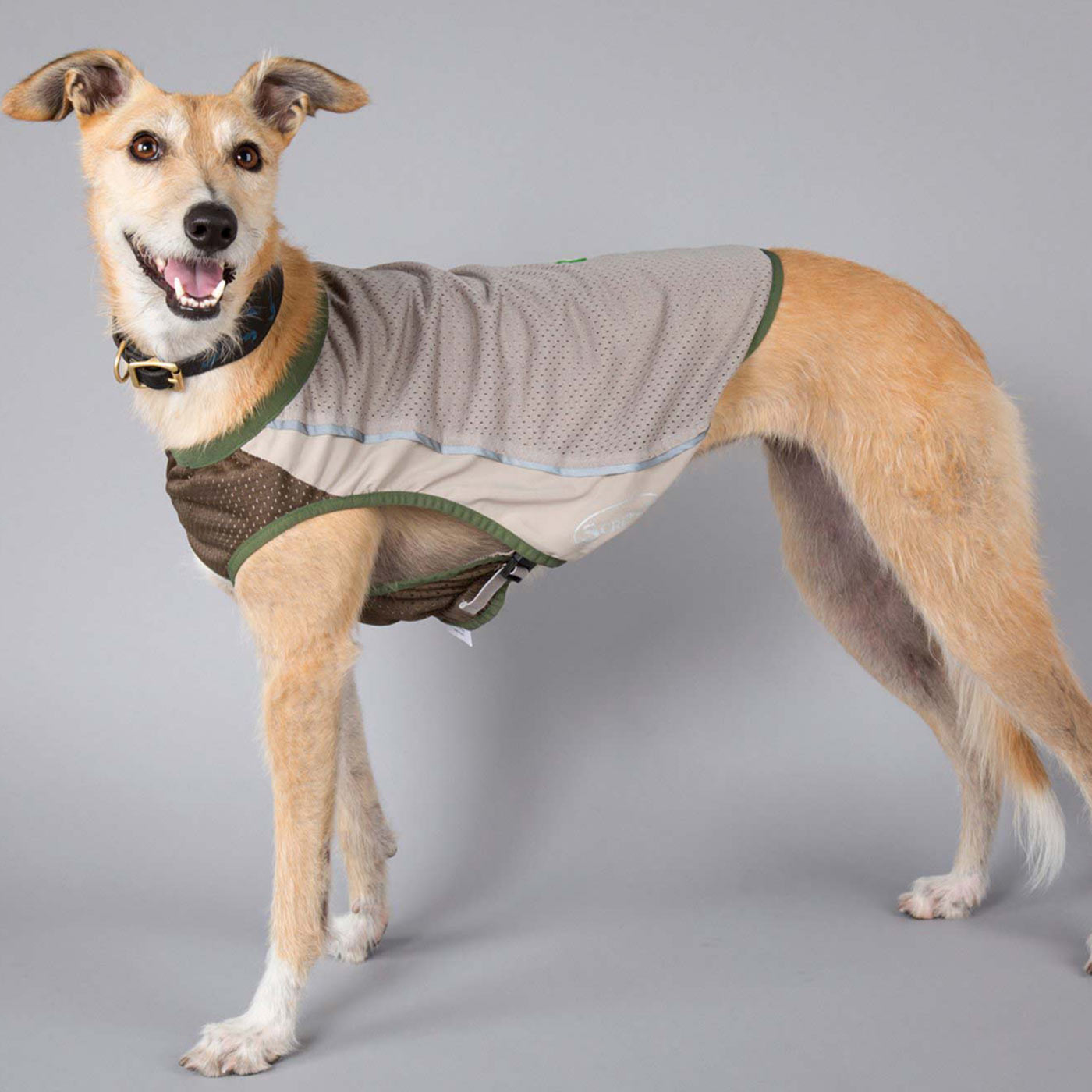Protect your pooch this summer with our insect shield breathable dog vest, keep them safe from mosquitoes, fleas, ticks and ants! Crafted to provide an easy and comfortable fit. The perfect protection against insects for pets! Available in 7 sizes at Lords & Labradors