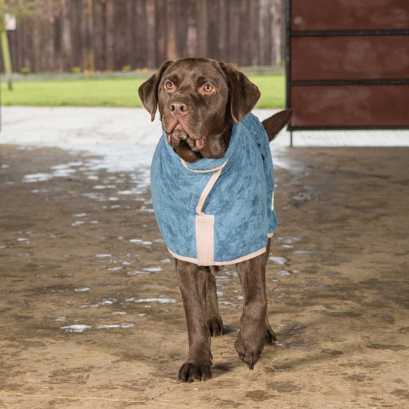 Sandringham Ultimate Dog Drying Coat | Tumble | Lords & Labradors