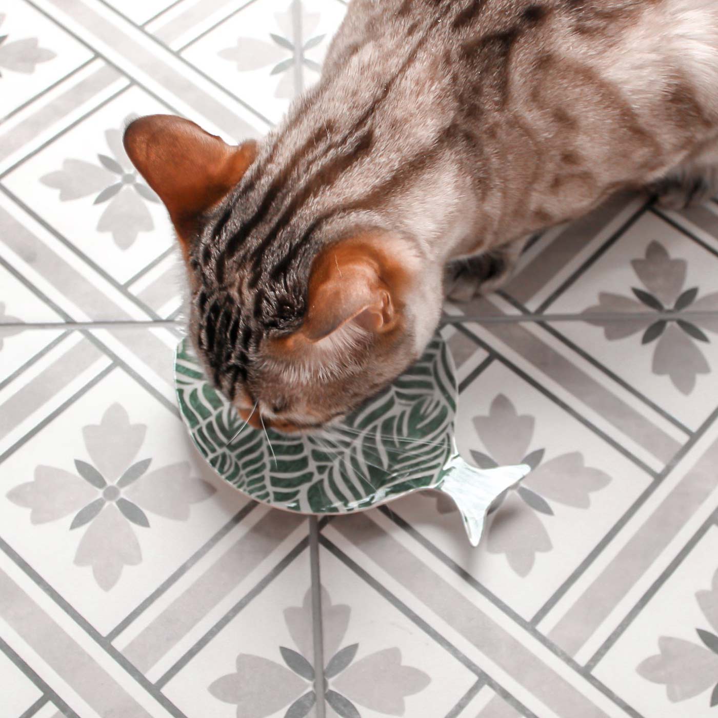 Safari Greenery Cat Saucer