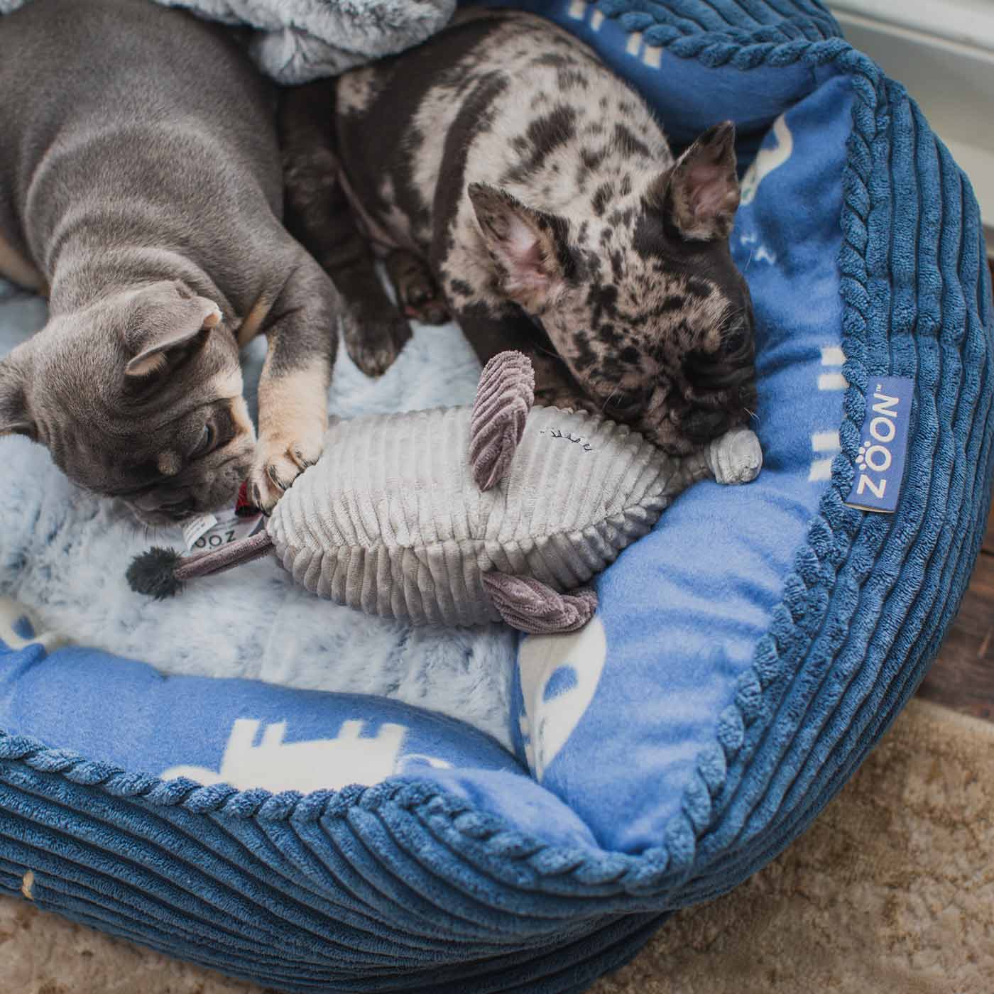 Zoon jumbo toy in jumbo bed with french bulldogs