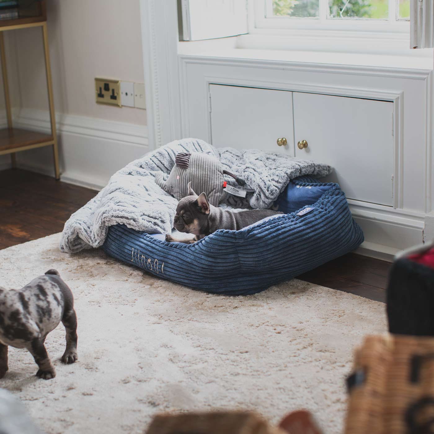 Zoon jumbo set with French bulldogs playing side view