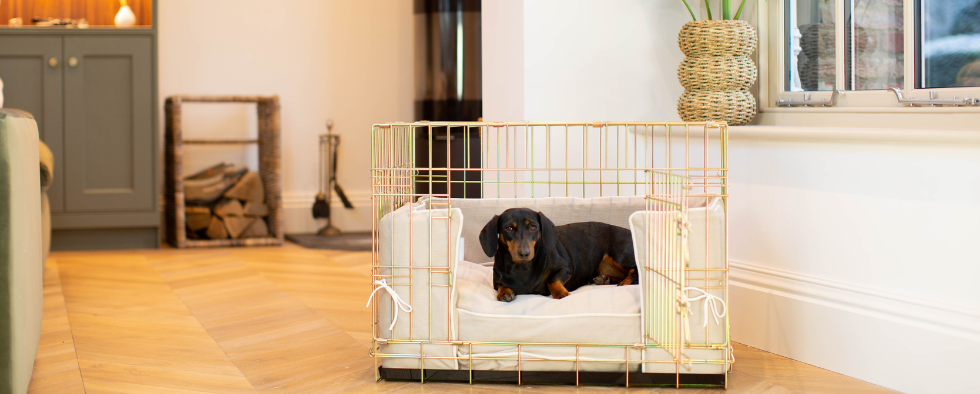 A Dog Crate To Match Your Interior