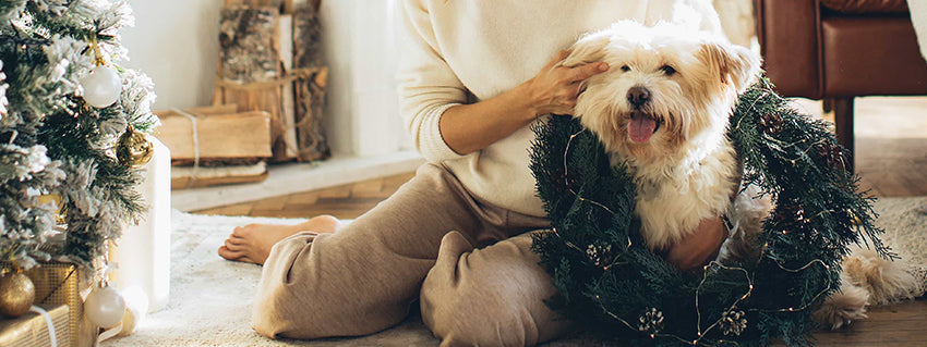 Christmas Gift Guide for Pet Lovers