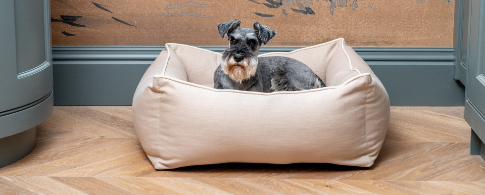 Luxury Dog Beds For Every Interior - The L&L Collection 2022